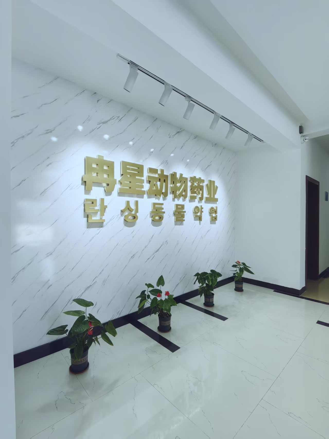 冉星新动向丨当墙面学会说话：一家兽药企业的沉默独白