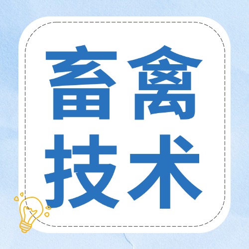 冉星微课丨光色对养鸡人的影响