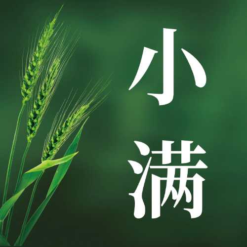 小满 | 人生最好是小满，万物初盈恰相逢