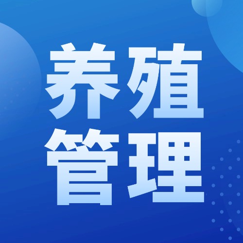 秋季蛋鸡饲养管理顺口溜